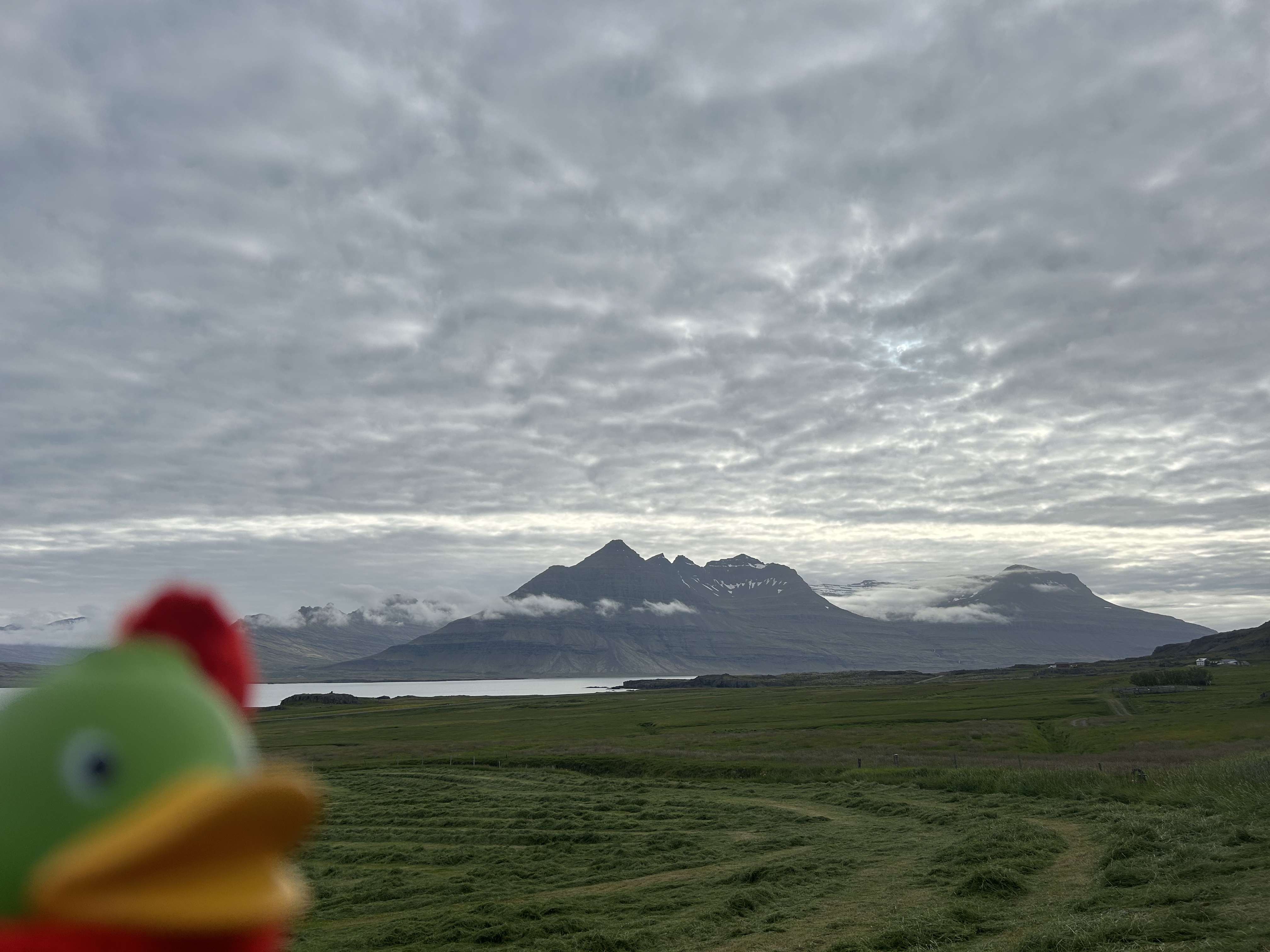 Guillaume relaxing in Iceland