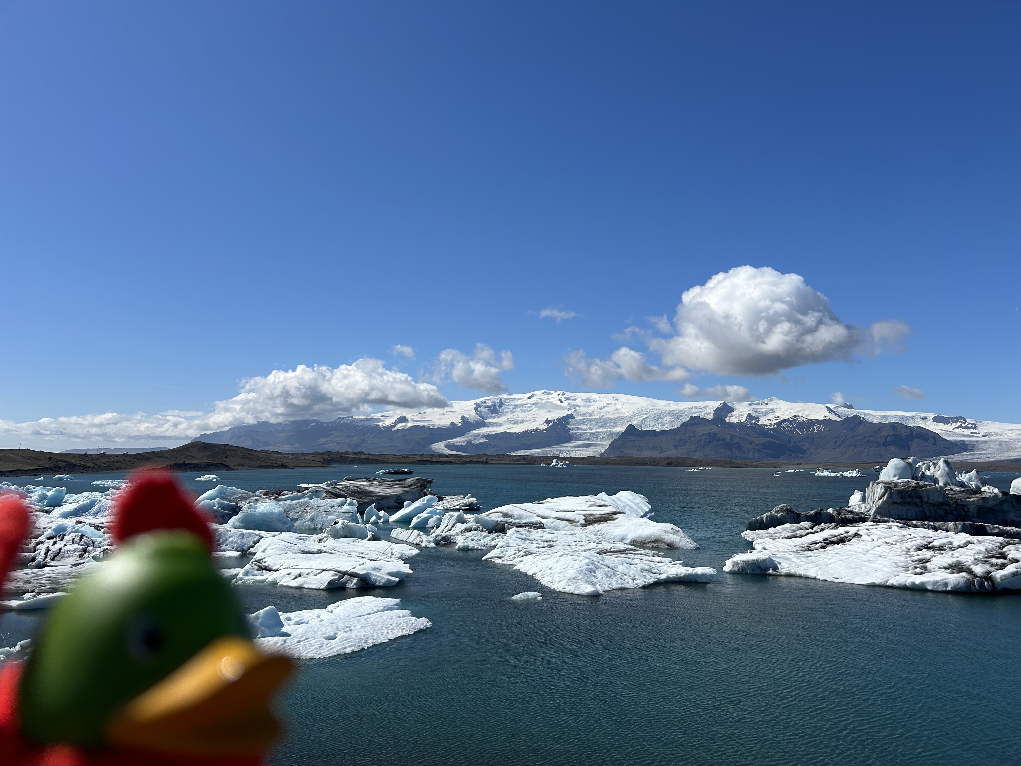 Guillaume at Jökulsárlón, Iceland