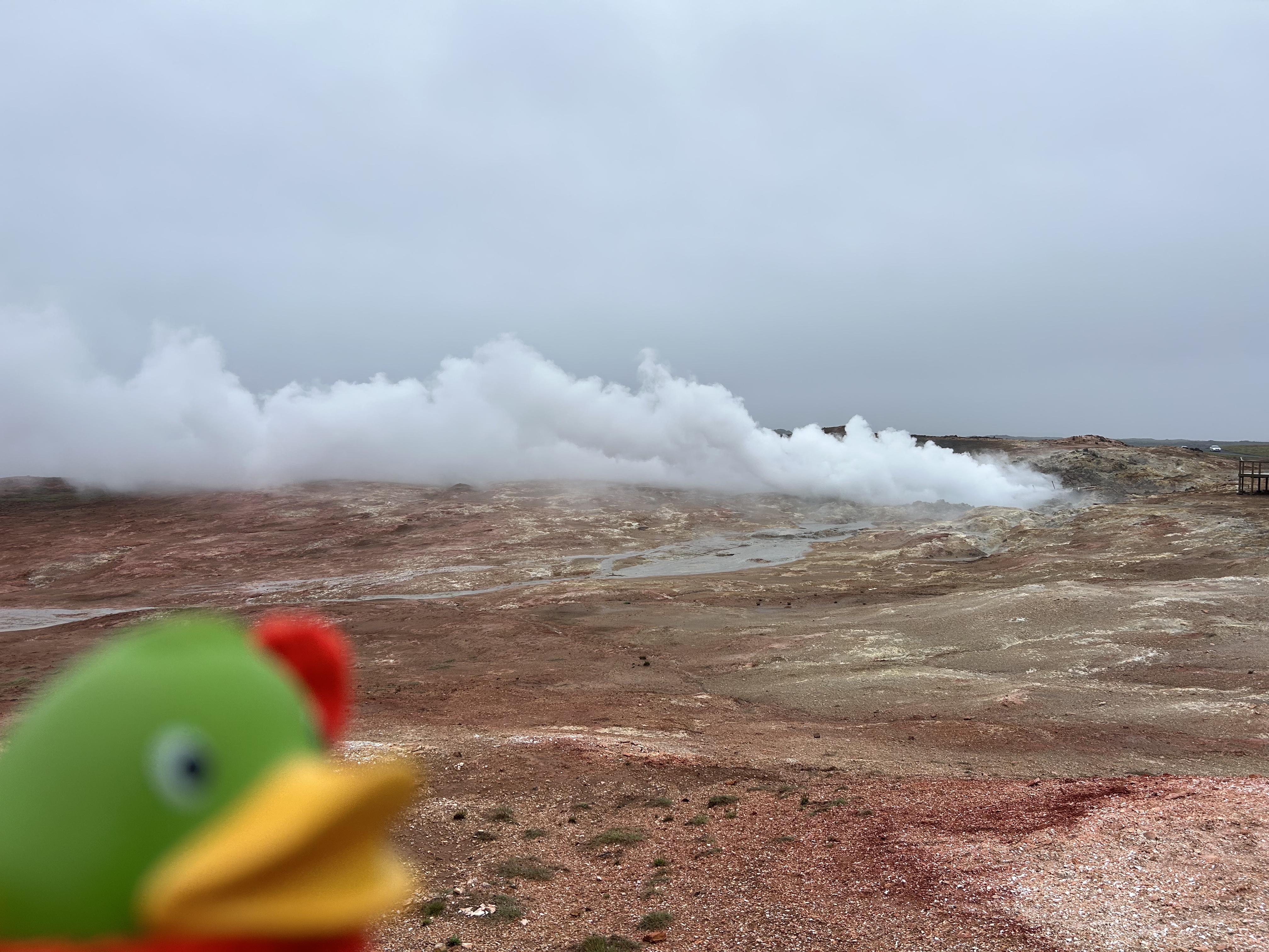 Guillaume observing thermal features on Reykjanes