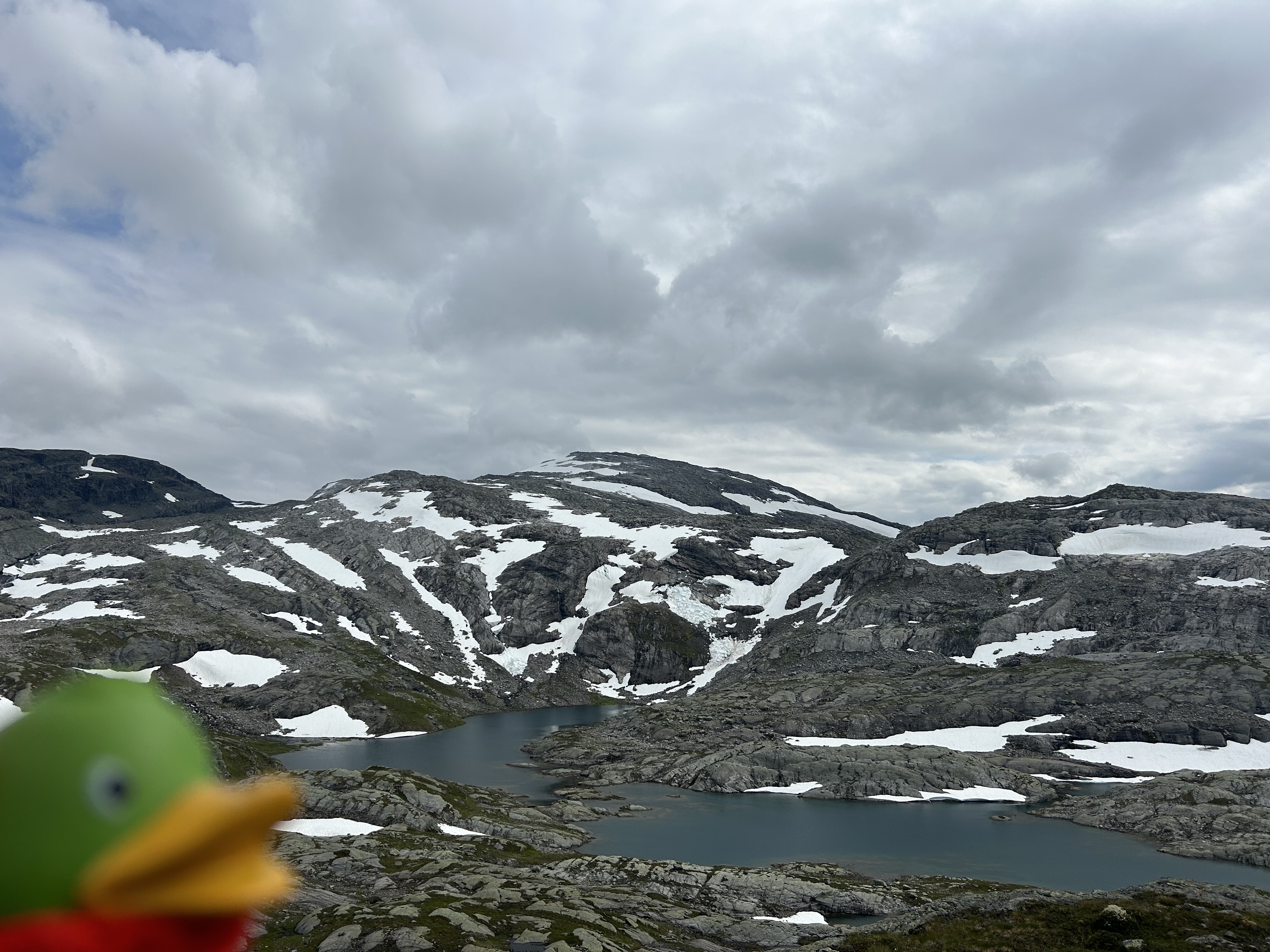 Guillaume somewhere between Mjølfjell and Ulvik