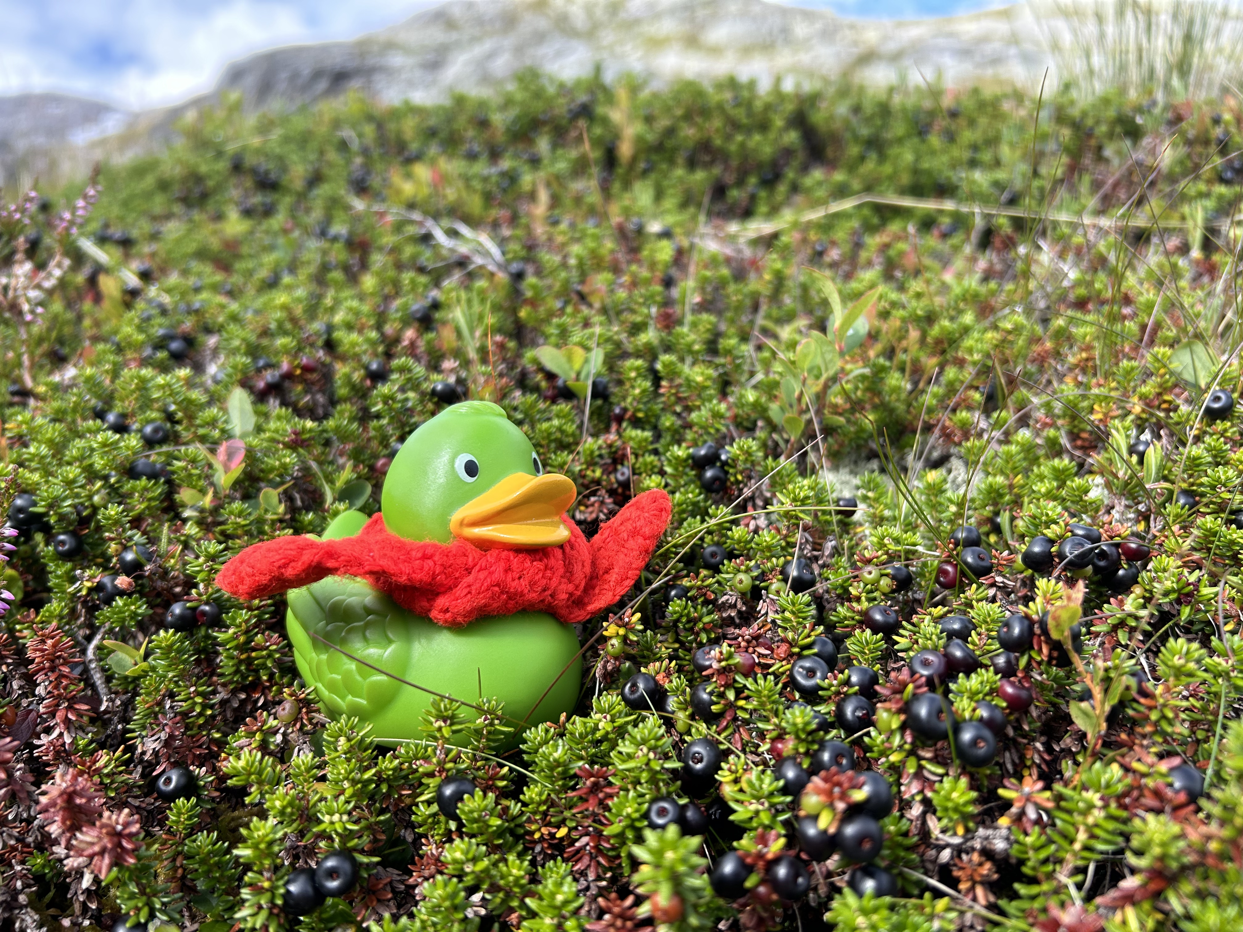 Guillaume eating berries