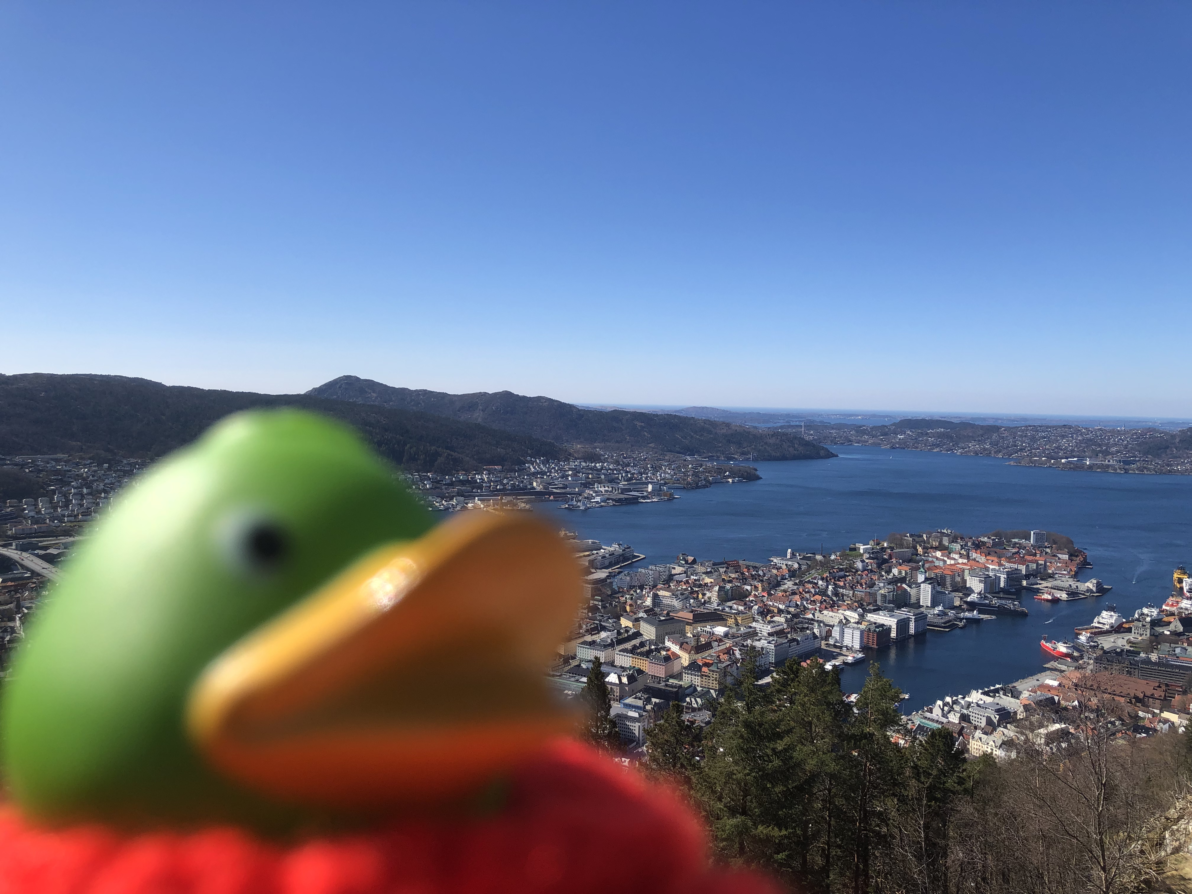 Guillaume on Fløyen