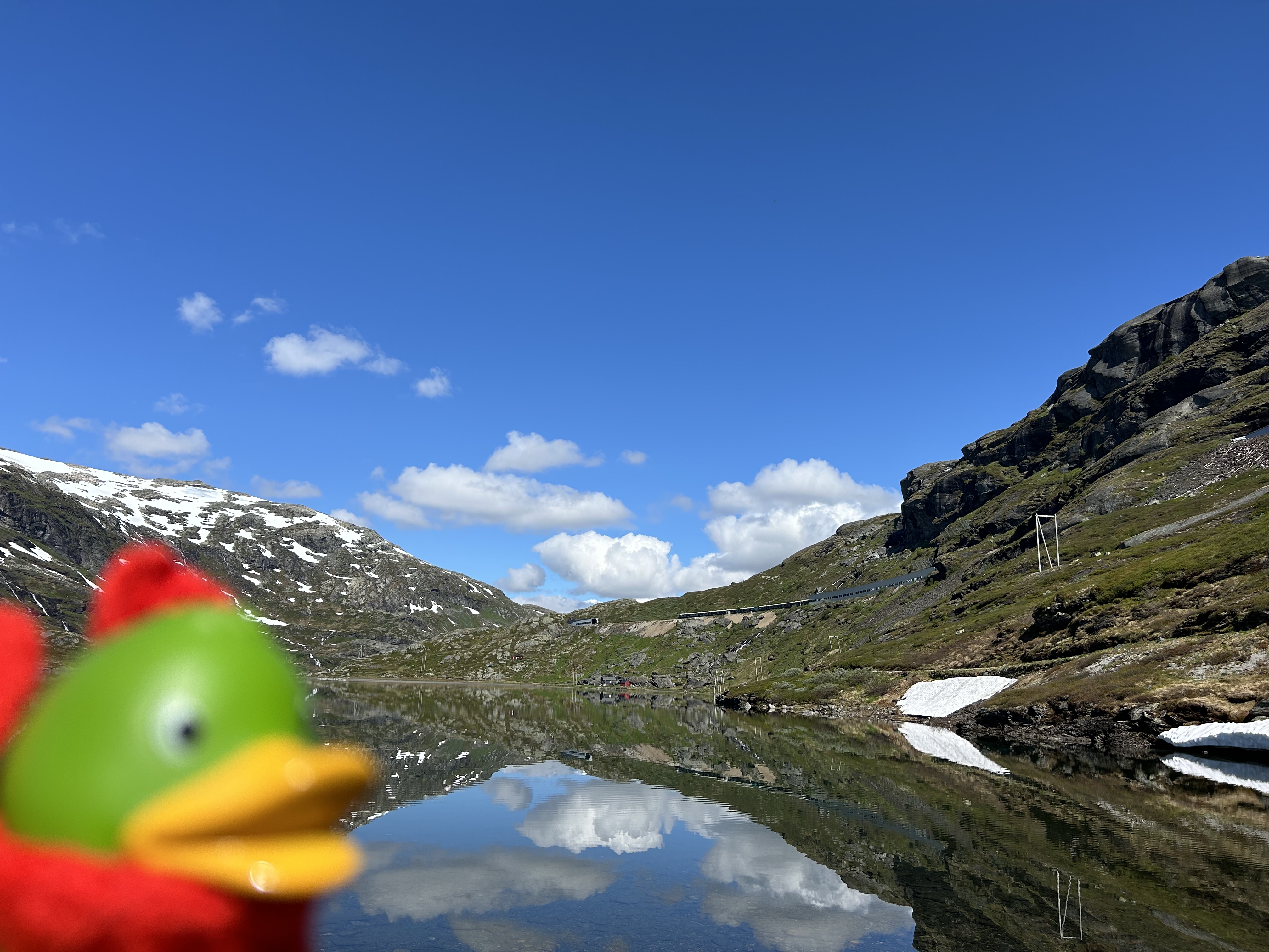 Guillaume on Rallarvegen, observing a late train