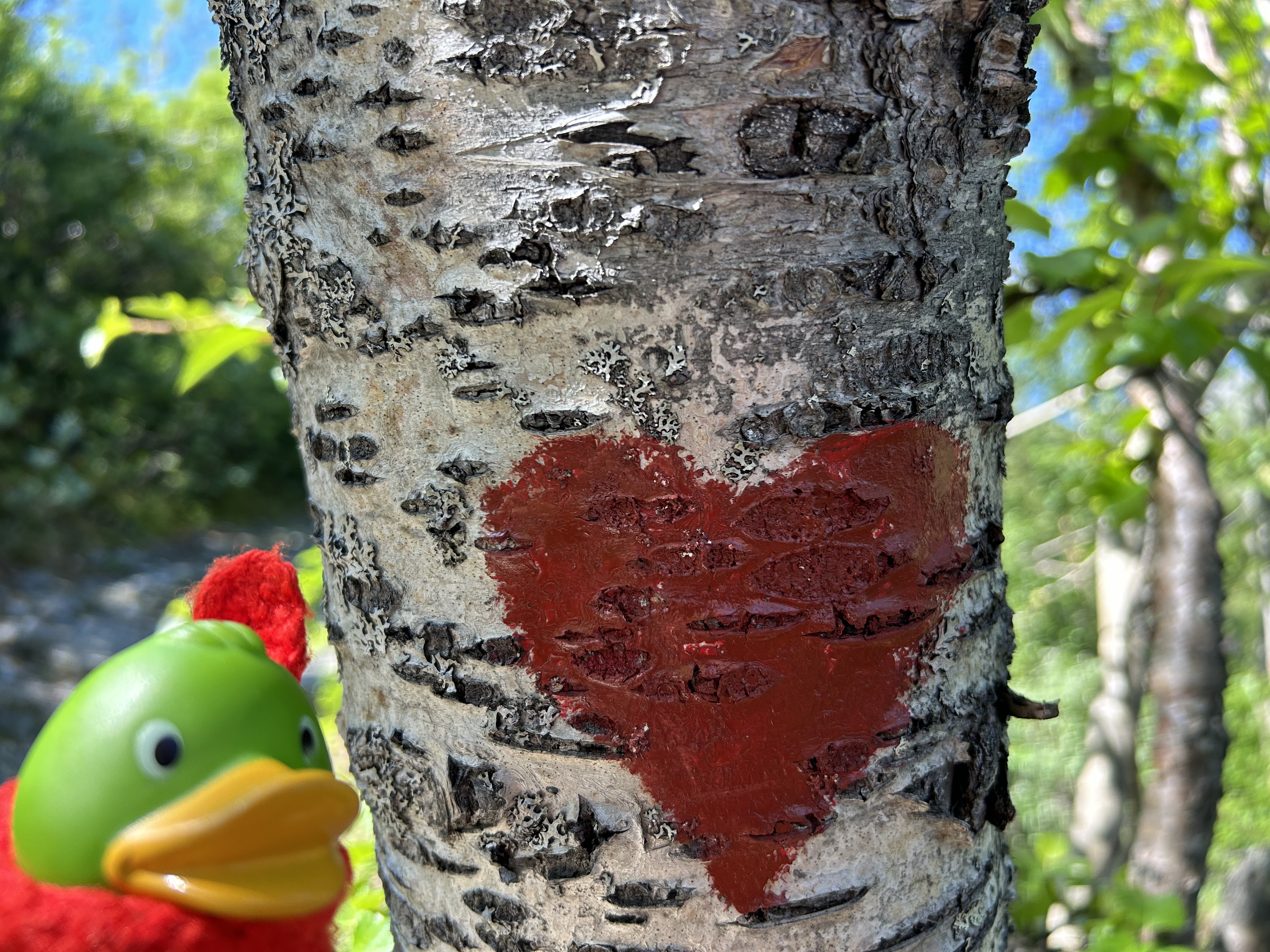 Guillaume in love